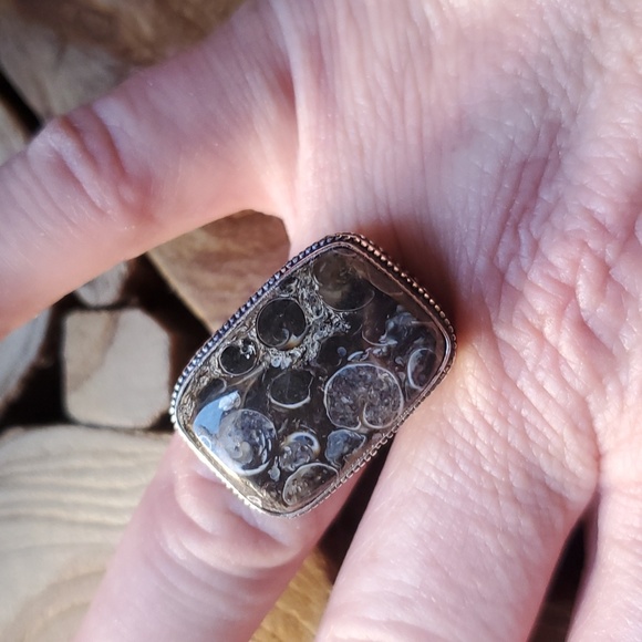 New Turritella Agate Fossil 925 Silver Ring. - Picture 8 of 16